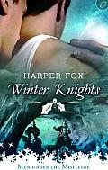 [cover of Winter Knights]