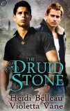 [cover of The Druid Stone]