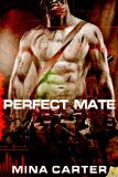 [cover of Perfect Mate]
