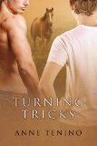 [cover of Turning Tricks]