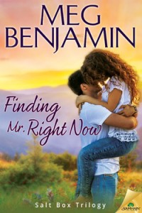 finding mr right now by meg benjamin