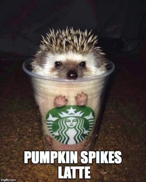 pumpkin spikes latte