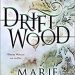 Review: Driftwood by Marie Brennan