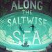 Review: Along the Saltwise Sea by A. Deborah Baker