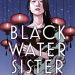 Review: Black Water Sister by Zen Cho