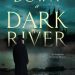 Review: Down a Dark River by Karen Odden