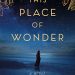 Review: This Place of Wonder by Barbara O'Neal