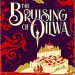 Review: The Bruising of Qilwa by Naseem Jamnia