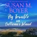 Review: Big Trouble on Sullivan's Island by Susan M. Boyer