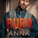 #BookReview: Fury Brothers: Burn by Anna Hackett