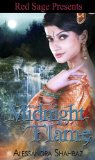 [cover of Midnight Flame]